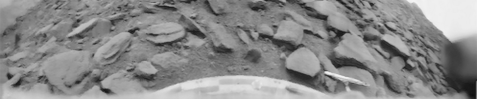 Venerian surface
